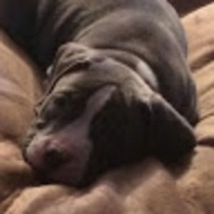 Meet your Posher, Larissa